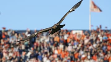 Oct 22, 2016; Auburn, AL, USA; An eagle named Nova circles the field at Jordan Hare Stadium prior to the game between the Arkansas Razorbacks and the Auburn Tigers. Mandatory Credit: John Reed-USA TODAY Sports