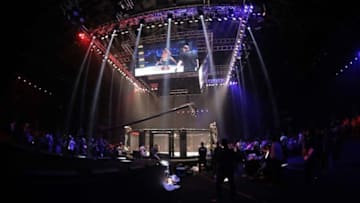 Brave CF cage