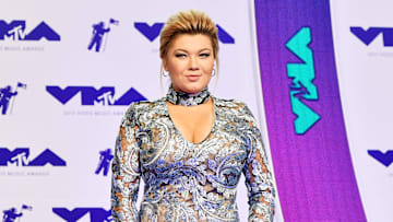 Amber Portwood hits back at Jenelle Evans on Twitter.