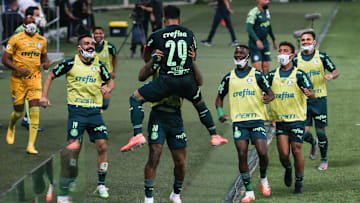 Verdão foi derrotado em apenas duas oportunidades na temporada