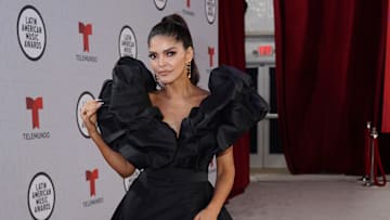Ana Bárbara habría ayudado a Miguel Ángel