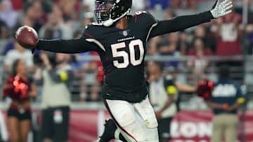 Auburn footballAug 21, 2022; Glendale, AZ, United States; Arizona Cardinals linebacker Chandler Wooten (50) celebrates his interception against the Baltimore Ravens at State Farm Stadium.Nfl Nfl Preseason Game Baltimore Ravens At Arizona Cardinals