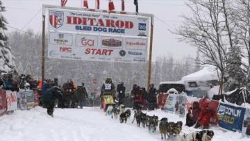 WILLOW, AK - MARCH 08: Wade Marrs (Willow, AK) drives his team from the starting line during the restart of the 2020 Iditarod Sled Dog Race at Willow Lake on March 8, 2020 in Willow, Alaska. (Photo by Lance King/Getty Images)