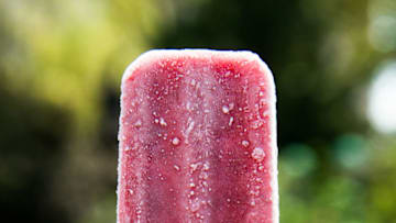 dog popsicles (Photo by Noam Galai/Getty Images)