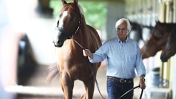 ELMONT, NY - JUNE 06: Triple Crown and Belmont Stakes contender Justify is walked in his barn by trainer Bob Baffert after arriving prior to the 150th running of the Belmont Stakes at Belmont Park on June 6, 2018 in Elmont, New York. (Photo by Al Bello/Getty Images)