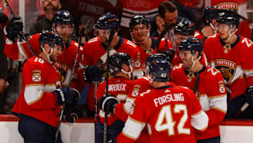 Florida Panthers (Photo by Joel Auerbach/Getty Images)