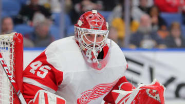 BUFFALO, NY - FEBRUARY 11: Darren Helm #43 of the Detroit Red Wings looks for the puck during the second period against the Buffalo Sabres at KeyBank Center on February 11, 2020 in Buffalo, New York. (Photo by Timothy T Ludwig/Getty Images)