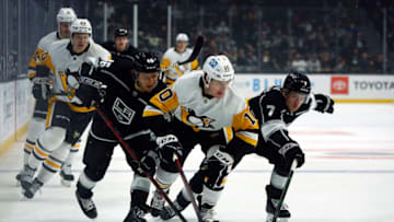 Pittsburgh Penguins(Photo by Ronald Martinez/Getty Images)