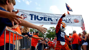 Auburn has jumped into the Top 10 in team rankings for the 2019 recruiting class. (Photo by Butch Dill/Getty Images)