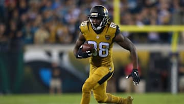 JACKSONVILLE, FL - NOVEMBER 19: Allen Hurns