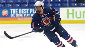 PLYMOUTH, MICHIGAN - JANUARY 17: Frank Nazar III #14 of Team Blue skates the ice in the second period of the USA Hockey All-American Game at USA Hockey Arena on January 17, 2022 in Plymouth, Michigan. (Photo by Mike Mulholland/Getty Images)