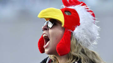 South Carolina football fan. Mandatory Credit: [Bob Self/Florida Times-Union]