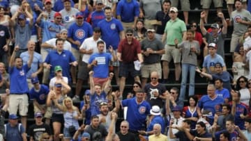 Jun 7, 2014; Chicago, IL, USA; Fans catch Chicago Cubs left fielder Junior Lake (not pictured) home run against the Miami Marlins during the seventh inning at Wrigley Field. Mandatory Credit: David Banks-USA TODAY Sports