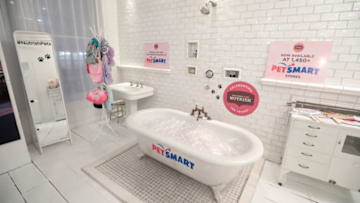 NEW YORK, NY - FEBRUARY 26: A view of a PetSmart installation at the celebration of the 10th anniversary of Rachael Ray's pet food brand, Nutrish at Gary's Loft on February 26, 2018 in New York City. (Photo by Cindy Ord/Getty Images for Nutrish)
