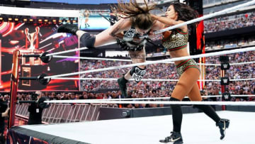 Photo courtesy WWE.com