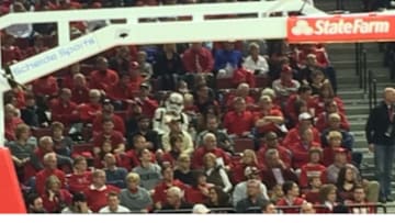 via Reddit. http://www.reddit.com/r/sports/comments/2upcd4/noticed_something_strange_in_the_crowd_at_the_unl/