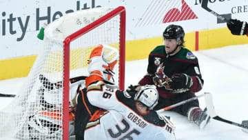 Arizona Coyotes defenseman Jakob Chychrun (6) reacts after scoring a goal abd crashing into Anaheim Ducks goaltender John Gibson (36) Mandatory Credit: Matt Kartozian-USA TODAY Sports