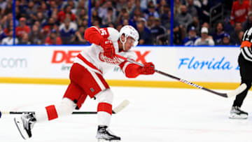 Detroit Red Wings, Jakub Vrana #15. (Photo by Mike Ehrmann/Getty Images)