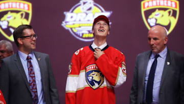 BUFFALO, NY - JUNE 24: Henrik Borgstrom (Photo by Bruce Bennett/Getty Images)