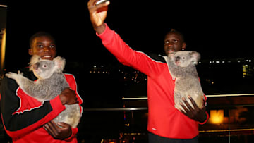 BRISBANE, AUSTRALIA - JULY 16: Liverpool FC players Mamadou Sakho and Sheyi Ojo cuddle Australia Zoo koalas Mackenzie and India at Gambaro Hotel on July 16, 2015 in Brisbane, Australia. Liverpool FC are in Queensland to play the Brisbane Roar at Suncorp Stadium on the first leg of their Australian tour (Photo by Chris Hyde/Getty Images for Tourism and Events Queensland)