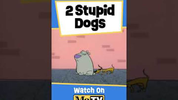 2 Stupid Dogs #cartoon