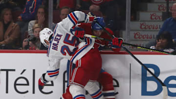 New York Rangers defenseman Libor Hajek (25) . Mandatory Credit: Jean-Yves Ahern-USA TODAY Sports