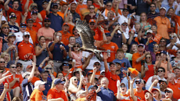 The eagle flight, Toomer's Corner, War Eagle, Tiger Walks ... so many reasons to be an Auburn football fan. (Photo by Mike Zarrilli/Getty Images)