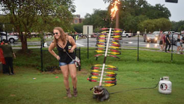 An FSU fan poses with a burning spear through an alligator's head before the start of the Florida State versus Virginia Tech game on Monday.Dsc 0495