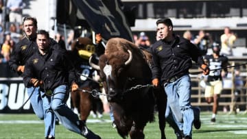 Sep 10, 2016; Boulder, CO, USA; Colorado Buffaloes mascot Ralphie is run onto the field before the game against the Idaho State Bengals at Folsom Field. Mandatory Credit: Ron Chenoy-USA TODAY Sports