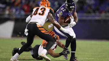 BALTIMORE, MD - DECEMBER 31: Tight End Benjamin Watson