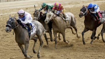 Arcangelo with Javier Castellano up wins the 155th Running of the Belmont Stakes. (Sarah Stier/Getty Images)