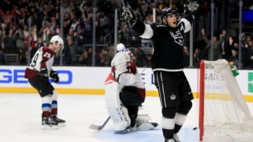 LA Kings (Photo by Sean M. Haffey/Getty Images)