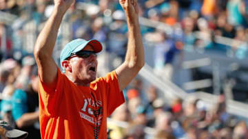 JACKSONVILLE, FL - OCTOBER 26: A Miami Dolphins fan cheers in the stands during the fourth quarter of the game against the Jacksonville Jaguars at EverBank Field on October 26, 2014 in Jacksonville, Florida. (Photo by Rob Foldy/Getty Images)