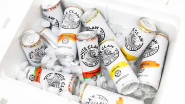 (Photo by Christopher Lane/Getty Images for White Claw)