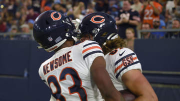 Chicago Bears (Steve Roberts-USA TODAY Sports)
