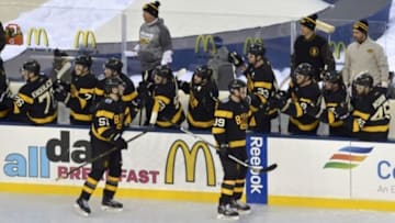 Jan 1, 2016; Foxborough, MA, USA; Boston Bruins left wing Matt Beleskey (39) high fives his teammates after scoring a goal during the third period in the Winter Classic hockey game against the Montreal Canadiens at Gillette Stadium. Mandatory Credit: Bob DeChiara-USA TODAY Sports