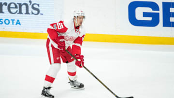 (Brace Hemmelgarn-USA TODAY Sports)