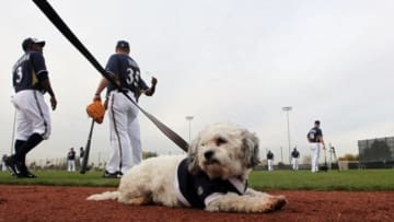 Feb 25, 2014; Maryvale, AZ, USA; Milwaukee Brewers take part in morning warm-ups at Maryvale Baseball Park, as the new team mascot, temporarily named Hank after Hank Aaron (not pictured) looks on. Mandatory Credit: Lance Iversen-USA TODAY Sports