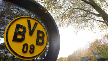 Borussia Dortmund. (Photo by James Gill - Danehouse/Getty Images)