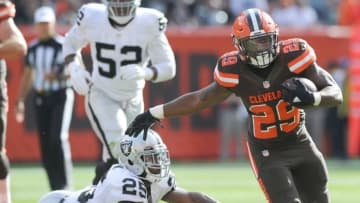 Sep 27, 2015; Cleveland, OH, USA; Cleveland Browns running back Duke Johnson (29) Oakland Raiders cornerback D.J. Hayden (25) at FirstEnergy Stadium. Mandatory Credit: Ken Blaze-USA TODAY Sports