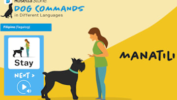 Photo: Rosetta Stone National Dog Day language guide key art Image Courtesy Rosetta Stone via ICF Next
