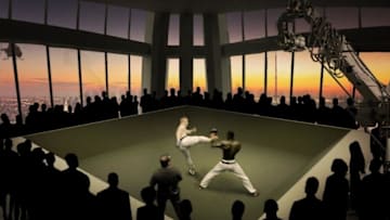 Karate Combat