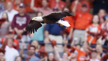 Sep 17, 2016; Auburn, AL, USA; Spirit the eagle circles the field at Jordan Hare Stadium prior to the game between the Auburn Tigers and the Texas A&M Aggies. Mandatory Credit: John Reed-USA TODAY Sports