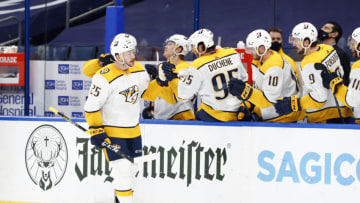 Nashville Predators right-wing Mathieu Olivier (25) is congratulated as he scores a goal during the third period at Amalie Arena. Mandatory Credit: Kim Klement-USA TODAY Sports