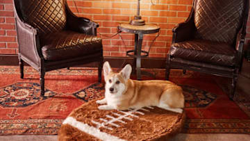Athletic-Inspired Designs From Paw.com. Image courtesy Paw.com