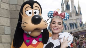 Goofy (Photo by David Roark/Disney Parks via Getty Images)