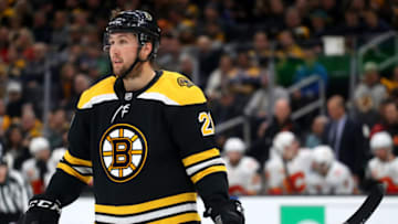 Boston Bruins, Nick Ritchie #21 (Photo by Maddie Meyer/Getty Images)