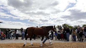 May 13, 2015; Baltimore, MD, USA; (editors note: caption correction) Horse trainer Bob Baffert walks American Pharoah into the Preakness Barn after arriving for the 140th Preakness Stakes at Pimlico Race Course. Mandatory Credit: Geoff Burke-USA TODAY Sports