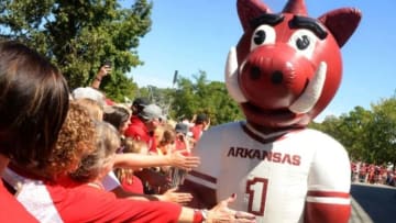 Sep 12, 2015; Fayetteville, AR, USA; The Arkansas Razorbacks mascot greets fans prior to action against the Toledo Rockets at War Memorial Stadium. Mandatory Credit: Mark D. Smith-USA TODAY Sports