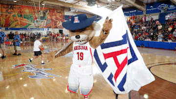 Nov 19, 2018; Lahaina, HI, USA; Arizona Wildcats mascot waves the team flag in a game against the Iowa State Cyclones in the first half during round one of the Maui Jim Maui Invitational at Lahaina Civic Center. Mandatory Credit: Brian Spurlock-USA TODAY Sports